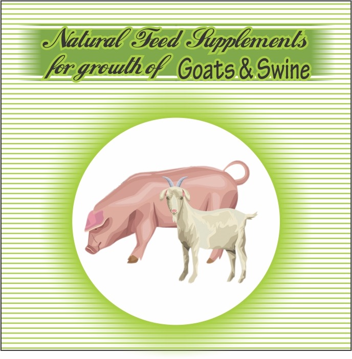 goat feed supplement