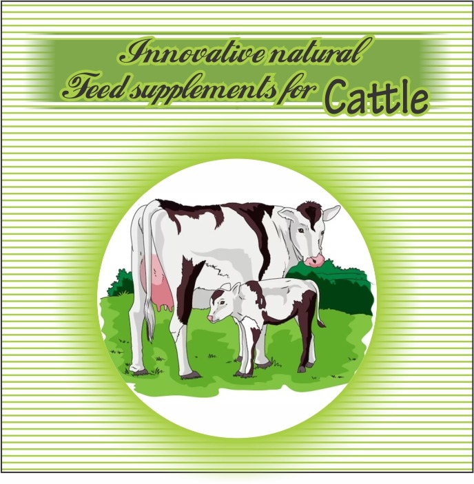 cow feed supplement