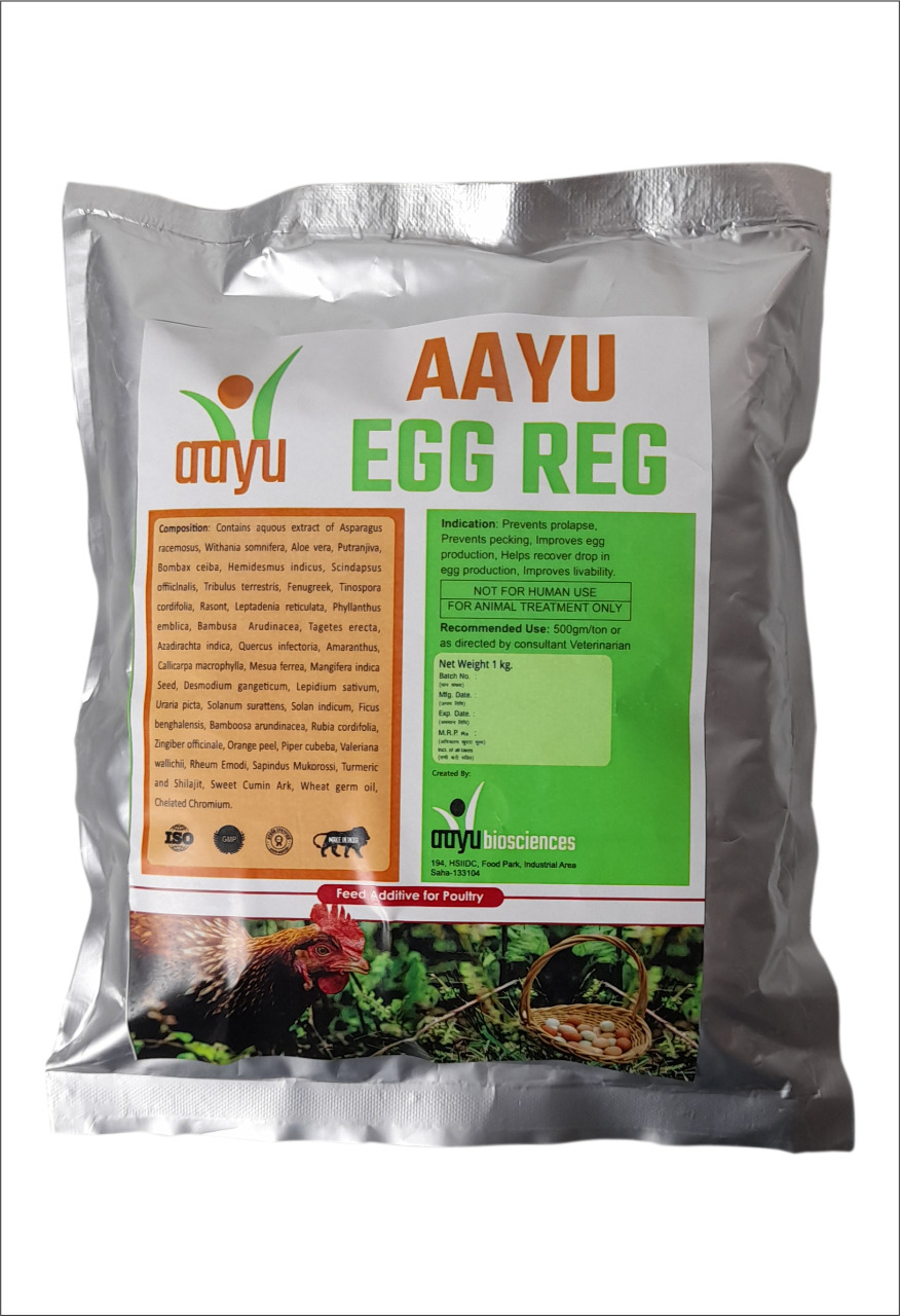 AAYU EGG REG