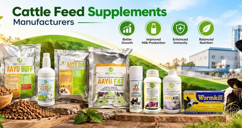 Cattle Feed Supplements Manufacturers