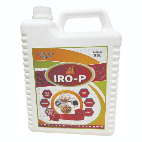 IRO-P